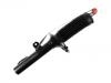 Amortisseur Shock Absorber:1 388 249